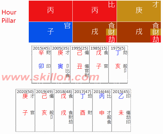  Grant Imahara 八字 BaZi Four Pillars of Destiny Patt Chee